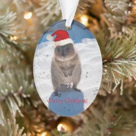 Erg schattige quokka Merry Kerstmis Ornament