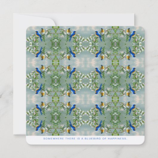 ERGENS IS ER EEN BLUEBIRD VAN GELUK HI-DEF (Voorkant)