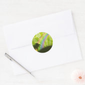 Ergens onder de regenboog ronde sticker (Envelop)