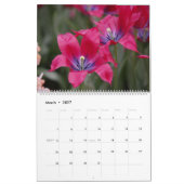 Eric Asbery Fotografie Kalender (Mar 2027)