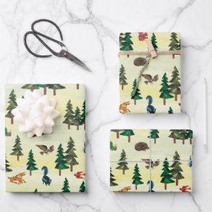 Eric Carle   Klaar voor Forest Fun Pattern Inpakpapier Vel