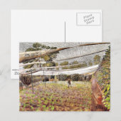 Eric Ravilious art, Strawberry Nets Briefkaart (Voorkant / Achterkant)