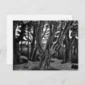Eric Ravilious art, Woodland Outside Florence Briefkaart (Voorkant / Achterkant)