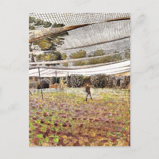 Eric Ravilious artwork, aardbeiennetten Briefkaart (Voorkant)