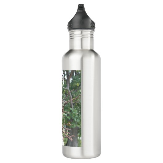 ERIC SMITH & THE MIGHTY ROOTS WATERFLES  (Rechts)