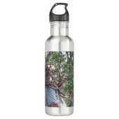 ERIC SMITH & THE MIGHTY ROOTS WATERFLES  (Voorkant)