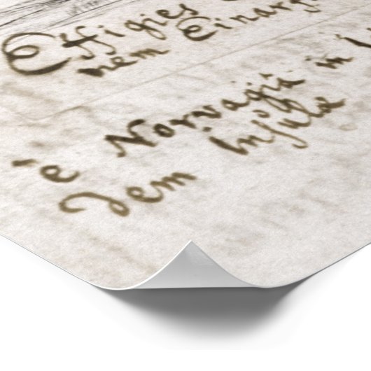 Eric the Red Poster (Hoek)