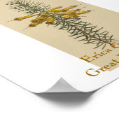 Erica Grandiflora. Geweldige gezondheid. Poster (Hoek)