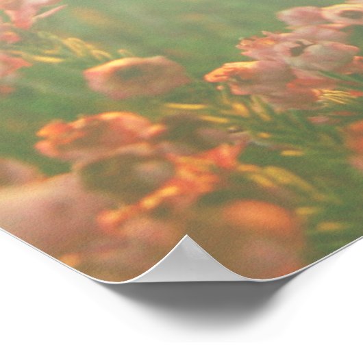 Erica Range Poster - Bloei waar je geworteld bent (Hoek)