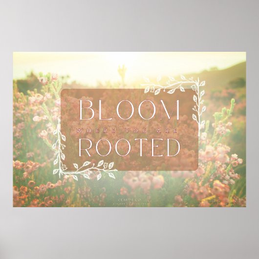 Erica Range Poster - Bloei waar je geworteld bent (Voorkant)