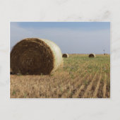 Erick, Oklahoma, Verenigde Staten - Route 66 Briefkaart (Voorkant)