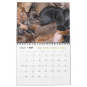 Eridox 2016 Dachshund Calendar Kalender (Mar 2027)