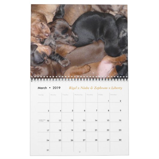 Eridox 2016 Dachshund Calendar Kalender (Mar 2019)