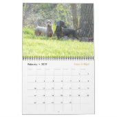 Eridox 2016 Dachshund Calendar Kalender (Feb 2019)