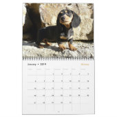 Eridox 2016 Dachshund Calendar Kalender (Jan 2019)
