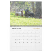 Eridox 2016 Dachshund Calendar Kalender (Feb 2026)