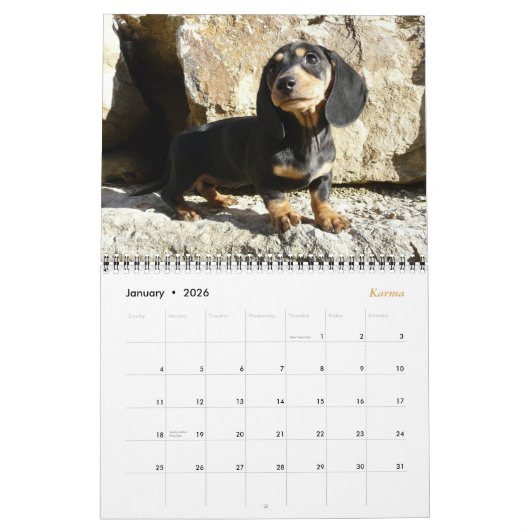 Eridox 2016 Dachshund Calendar Kalender (Jan 2026)