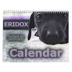 Eridox Dachshunds 2018 Agenda Kalender