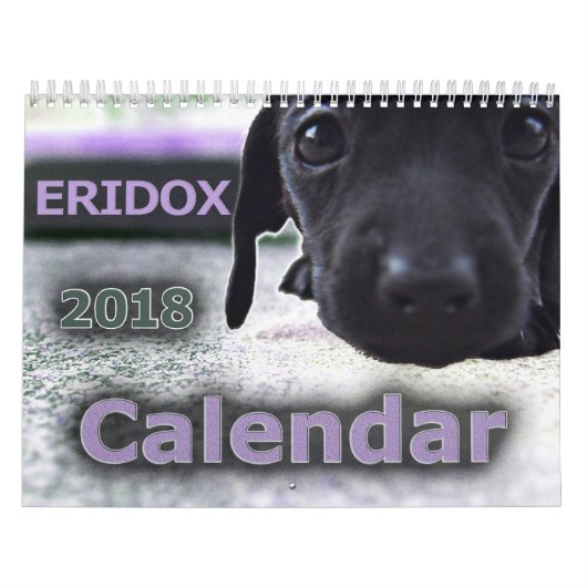 Eridox Dachshunds 2018 Agenda Kalender (Hoes)