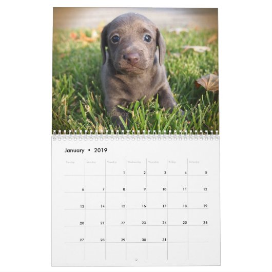 Eridox Dachshunds 2018 Agenda Kalender (Jan 2019)