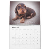 Eridox Dachshunds 2018 Agenda Kalender (Mar 2019)