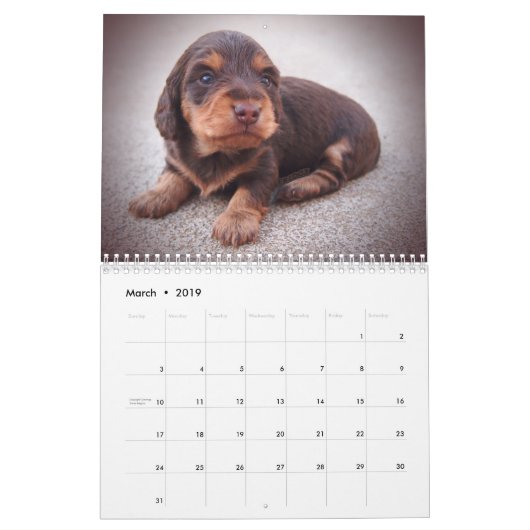 Eridox Dachshunds 2018 Agenda Kalender (Mar 2019)