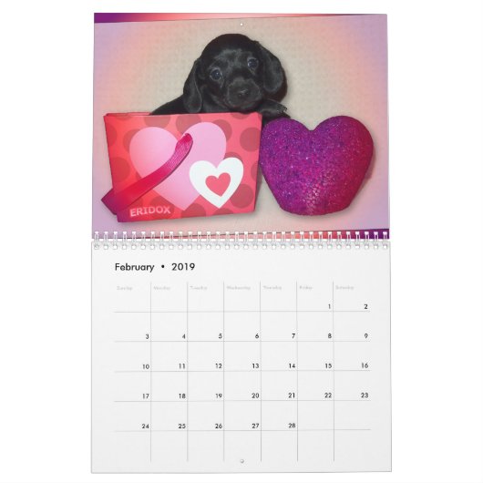 Eridox Dachshunds 2018 Agenda Kalender (Feb 2019)