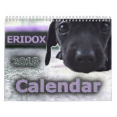 Eridox Dachshunds 2018 Agenda Kalender (Hoes)