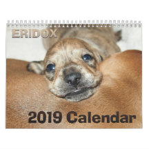 Eridox Dachshunds 2019 Agenda