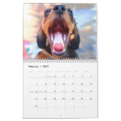 Eridox Dachshunds 2019 Agenda Kalender (Feb 2027)