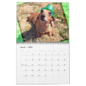 Eridox Dachshunds 2020 Agenda Kalender (Mar 2027)