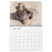 Eridox Dachshunds 2020 Agenda Kalender (Jan 2026)