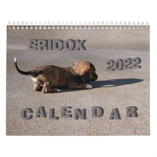Eridox Dachshunds 2022 Agenda Kalender (Hoes)