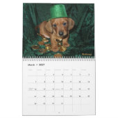 Eridox Dachshunds 2022 Agenda Kalender (Mar 2027)