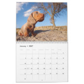 Eridox Dachshunds 2022 Agenda Kalender (Jan 2027)