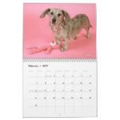 Eridox Dachshunds 2022 Agenda Kalender (Feb 2027)