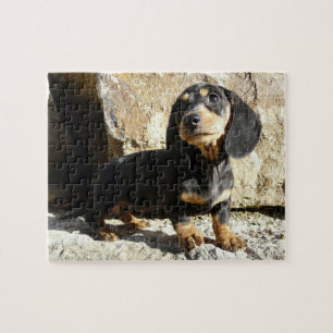 Eridox Dachshunds Karma Puppy Puzzle Legpuzzel