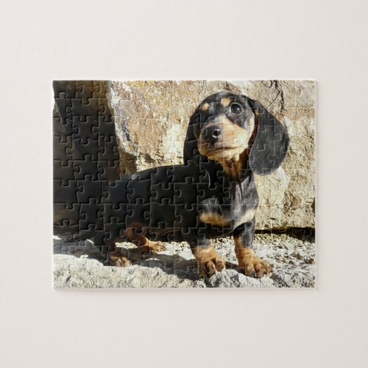 Eridox Dachshunds Karma Puppy Puzzle Legpuzzel (Horizontaal)