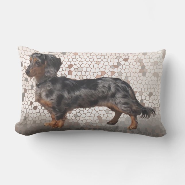 Eridox Dachshunds longhair dapple Aglaia pillow Buitenkussen (Voorkant)