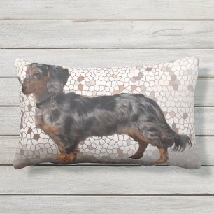 Eridox Dachshunds longhair dapple Aglaia pillow Buitenkussen