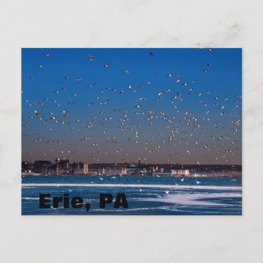 Erie, PA skyline Briefkaart (Voorkant)