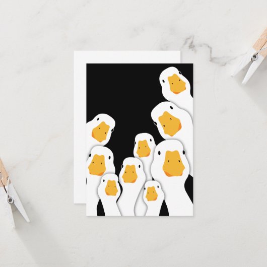 Erie Surveillance: Ganzentoezicht vanuit de ruimte (Voorkant / Achterkant in situ)