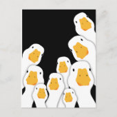 Erie Surveillance: Ganzentoezicht vanuit de ruimte Briefkaart (Voorkant)