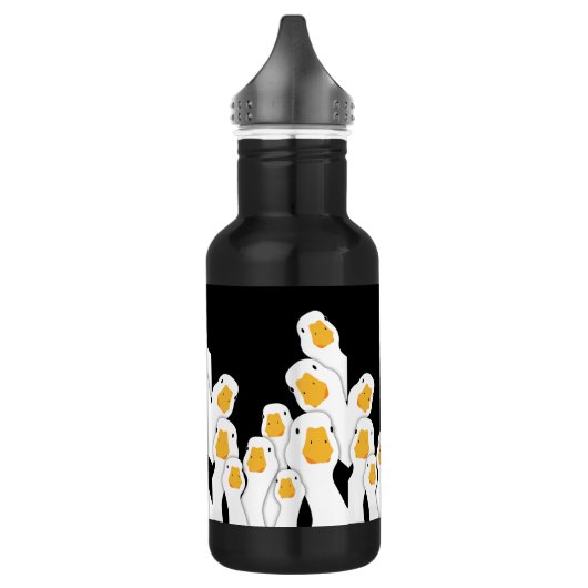 Erie Surveillance: Ganzentoezicht vanuit de ruimte Waterfles (Links)