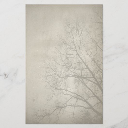 Erie Winter Day Papieren briefpapier (Voorkant)