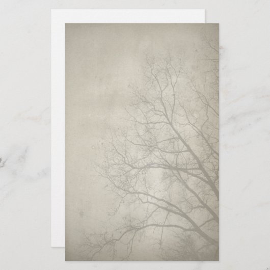 Erie Winter Day Papieren briefpapier (Voorkant / Achterkant)