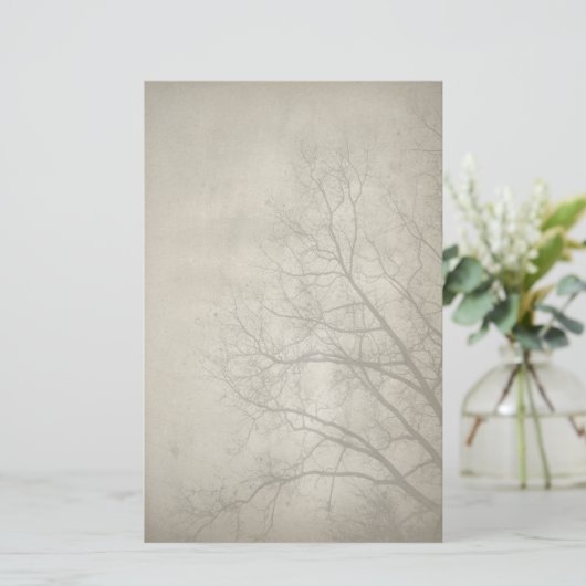 Erie Winter Day Papieren briefpapier (Staand voorkant)