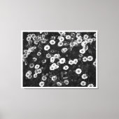 Erigeron Daisies Canvas Afdruk (Voorkant)