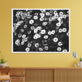Erigeron Daisies Canvas Afdruk