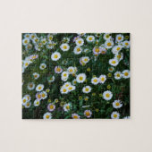 Erigeron Daisies Puzzle Legpuzzel (Horizontaal)